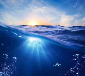 Meet your Posher, Scott j